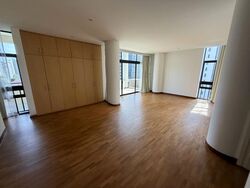 The Colonnade (D10), Condominium #535703271